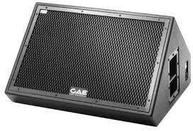 German Audio Engineering PS151M Monitor